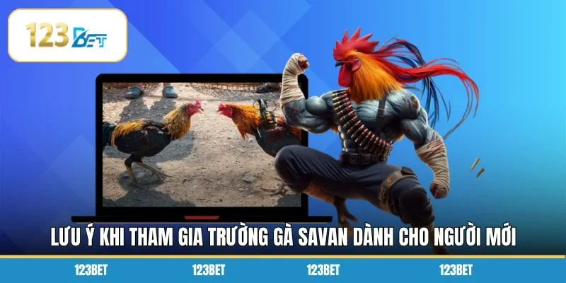Lưu ý khi tham gia trường gà savan dành cho người mới